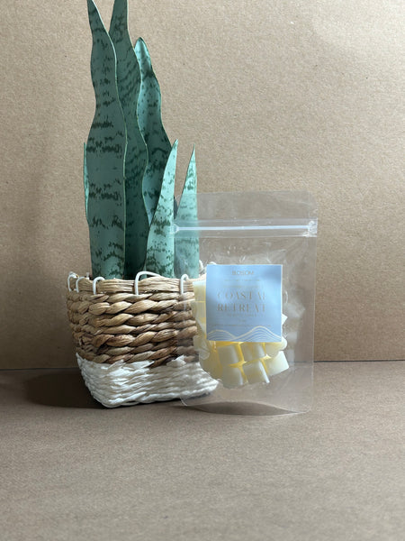 COASTAL RETREAT | WAX MELT