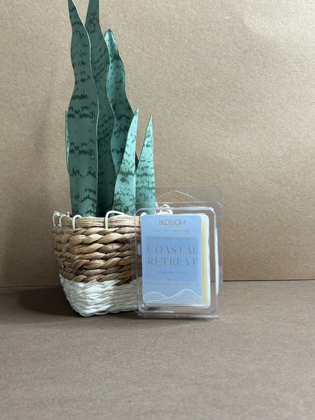 COASTAL RETREAT | WAX MELT